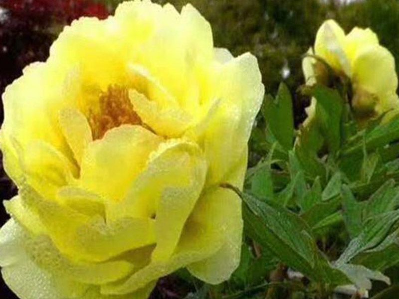 ?；?></dt><dd></dd></ol>
</ul>
<!--圖片展示結(jié)束-->
</div>

<div   id=